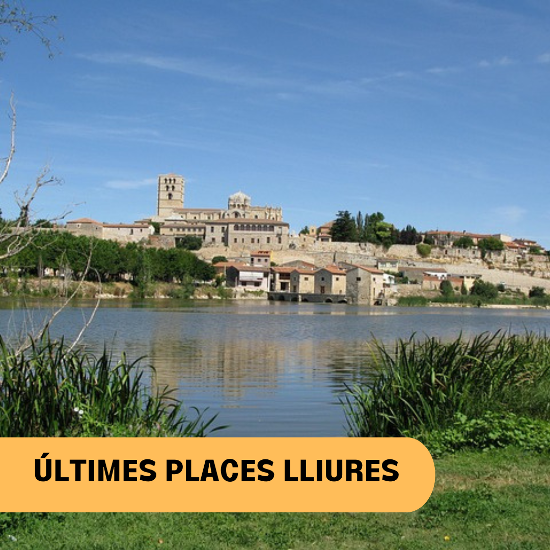 COMPLET, CONTACTA’NS(5)