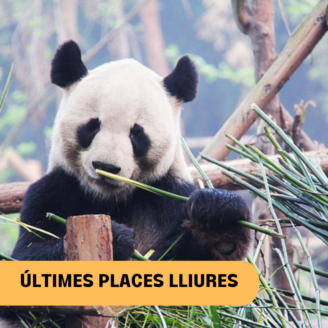 COMPLET, CONTACTA’NS(6)