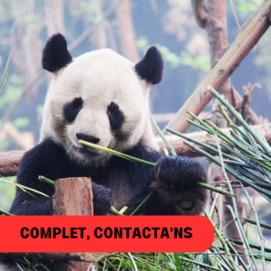 VIATGE A LA XINA MÉS AUTÈNTICA (del 8 al 21d'octubre)