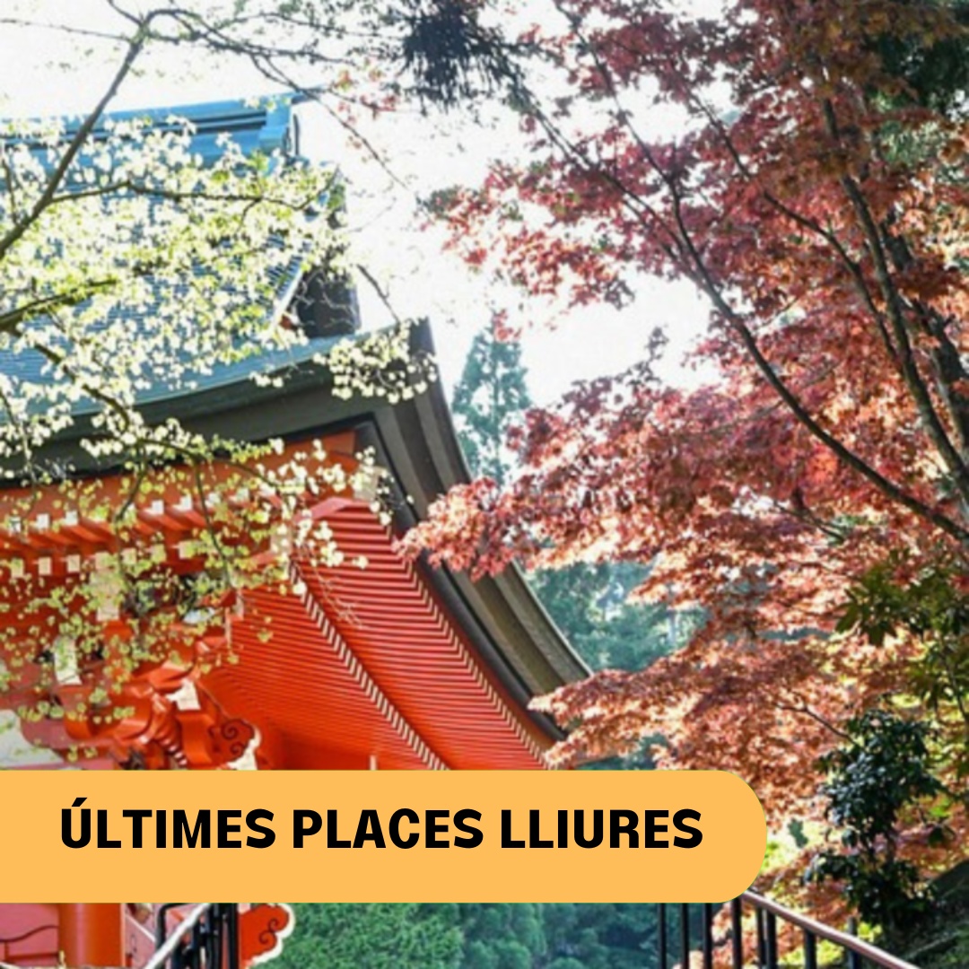 COMPLET, CONTACTA’NS (6)