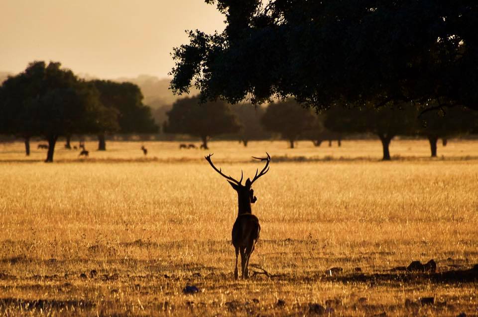 FOTOS PROMO VISITACABANEROS 00017