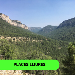 GAUDIR DE LA NATURA DEL "ALTO TAJO" (9 AL 12 OCTUBRE)