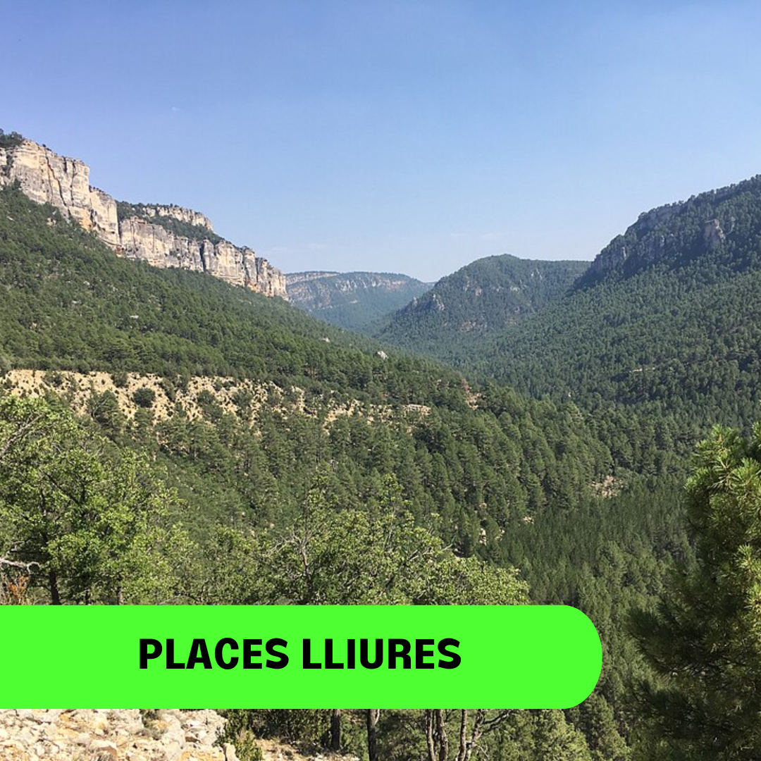 GAUDIR DE LA NATURA DEL "ALTO TAJO" (9 AL 12 OCTUBRE)