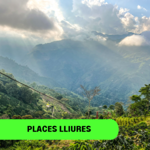 COLOMBIA: CAFÉ I PAISATGE, CULTURA I NATURA,  (Del 1 al 12 Febrer)