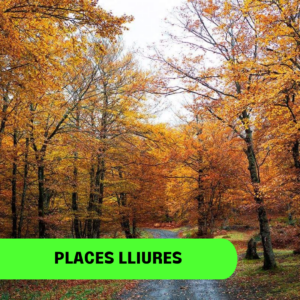 Els nostres Boscs Favorits (del 2 al 8 NOVEMBRE)