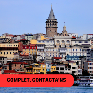 FALLES A ISTANBUL (del 14 al 19 de març)