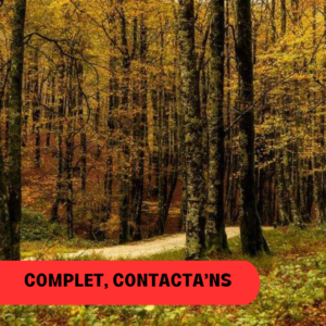 Els nostres Boscs Favorits (del 2 al 8 NOVEMBRE)