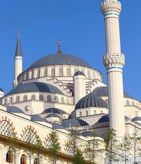 FALLES A ISTANBUL (del 14 al 19 de març) - Imatge 5