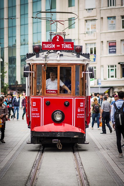 FALLES A ISTANBUL (del 14 al 19 de març) - Imatge 4
